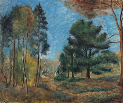 Underskov af Andre Derain