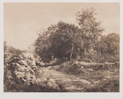 Uden titel (Scene af Fontainebleau) af André Giroux