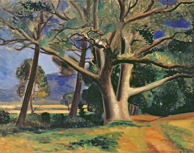 Det store træ, ca. 1929-30 (olie på lærred) (se også 287578) af Andre Derain