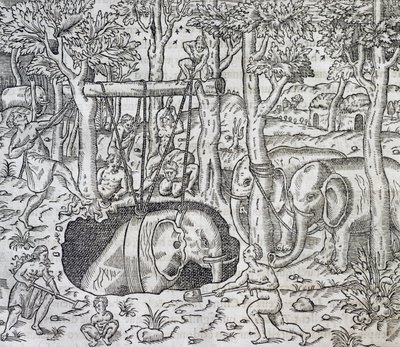 Elefantjagt på øen Java, gravering fra Universal Cosmology, af Andre Thevet (1504-1592), Paris af Andre Thevet