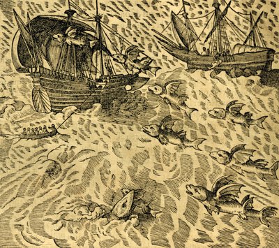 Flyvende fisk i tropiske hav, gravering fra Cosmographie Universelle, af Andre