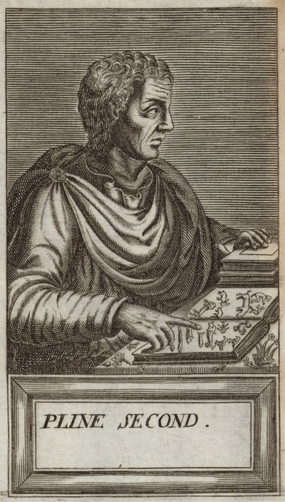 Gaius Plinius Caecilius Secundus af Andre Thevet