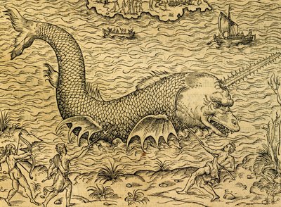 Sømonster, gravering fra Universal Cosmology, af Andre Thevet (1504-1592), Paris af Andre Thevet