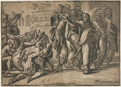 Kristus helbreder de spedalske af Andrea Andreani