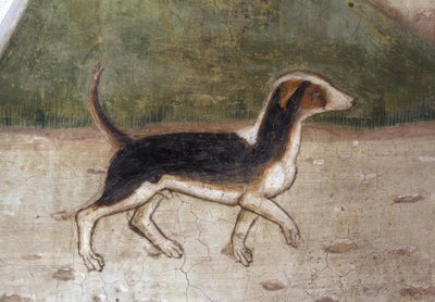 Atri, katedral, hund / fresco af A.Delitio af Andrea Delitio