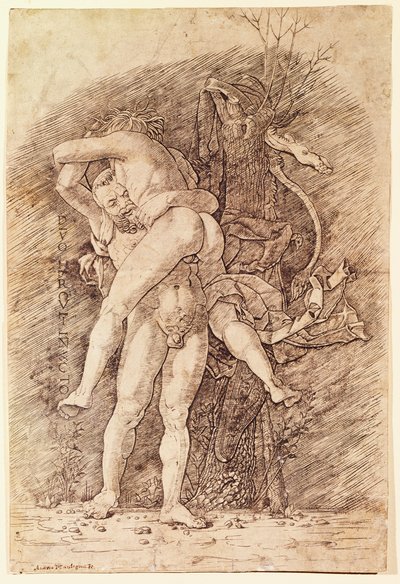 Hercules og Antaeus, af Andrea Mantegna (1431-1506), tegning. af Andrea Mantegna