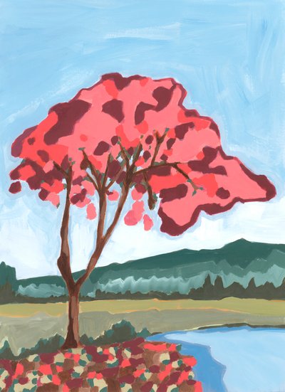 Acacia, 2024 (akryl på papir) af Andrea Mejia