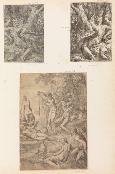 Nymferbadning, evt. 1545-50. af Andrea Schiavone