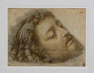 Hovedet af Sankt Johannes Døberen ... af Andrea Solario