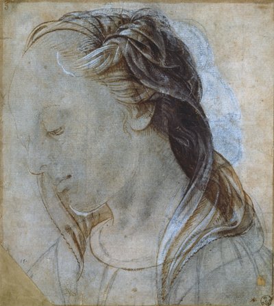 Kvindehoved (tegning) af Andrea Verrocchio