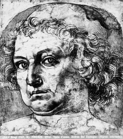 Mands hoved, eller portræt af Andrea del Verrocchio, ca. 1450 af Andrea del Castagno