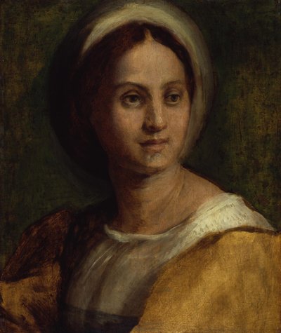  af Andrea del Sarto