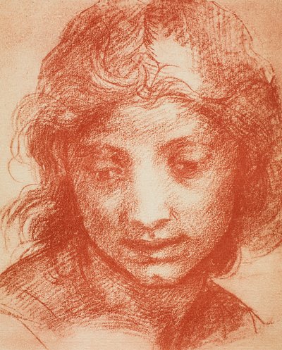 Drenge hoved af Andrea del Sarto