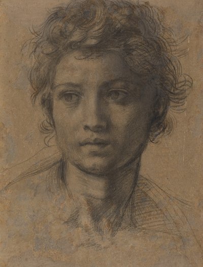 Hoved af Johannes Døberen af Andrea del Sarto