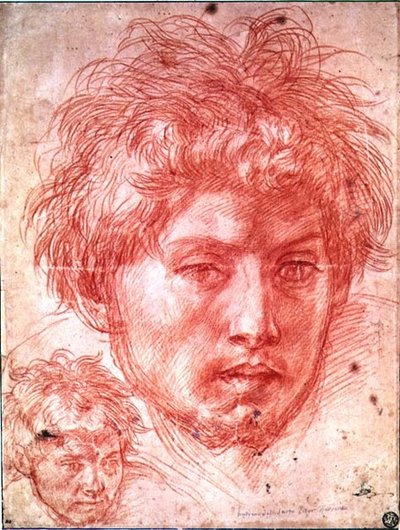 Hoved af en mand (rødkridt på papir) af Andrea del Sarto