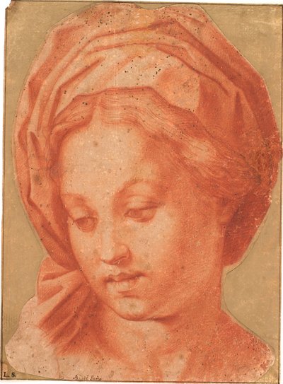 Borghese Madonna af Andrea del Sarto