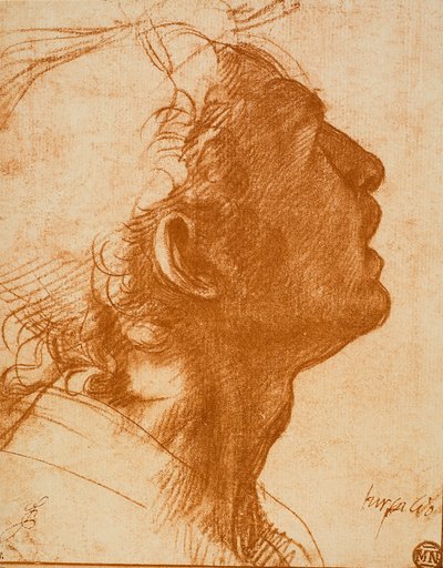 Mandligt Hoved af Andrea del Sarto