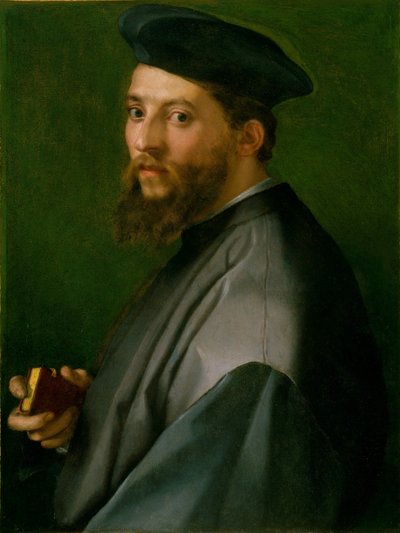 Portræt af en mand af Andrea del Sarto