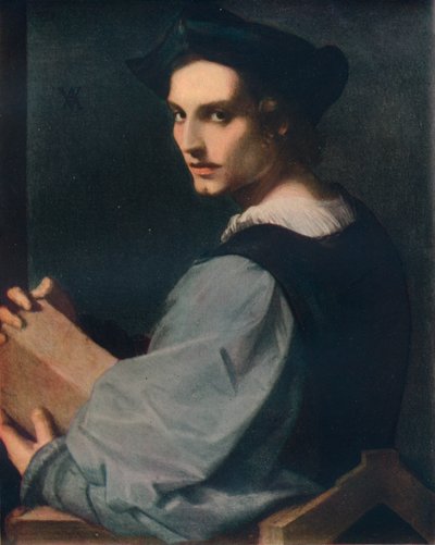 Portræt af en ung mand, c1517, 1911 af Andrea del Sarto