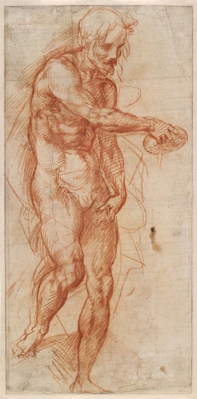 Saint John the Baptist Study, ca 1518 af Andrea del Sarto