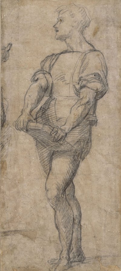 Stående ungdom med en bog, ca 1515 af Andrea del Sarto