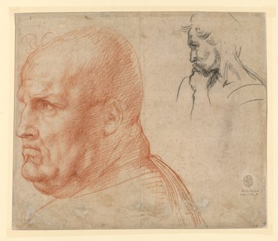  af Andrea del Sarto