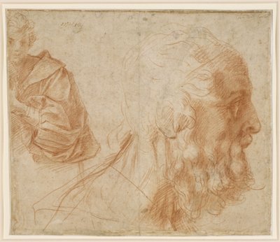  af Andrea del Sarto