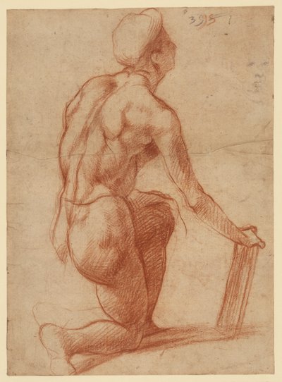  af Andrea del Sarto