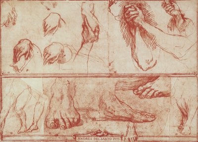 Studie af hænder og fødder til den sidste nadver i San Salvi af Andrea del Sarto