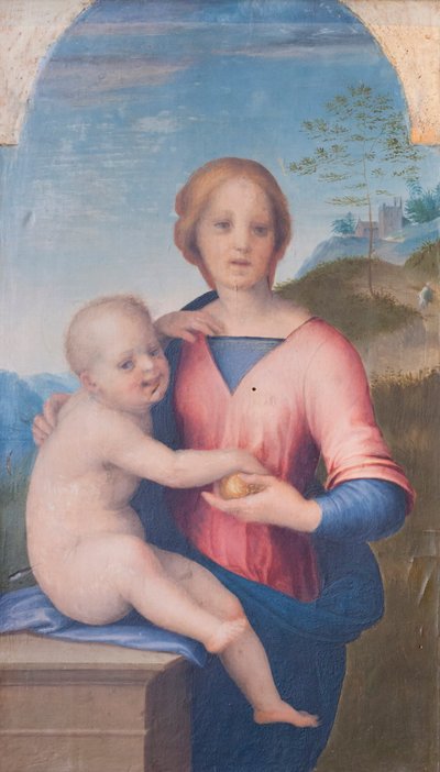 Jomfru og barn (olie på træ) af Andrea del Sarto
