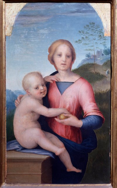 Jomfru med barn (maleri af Andrea del Sarto