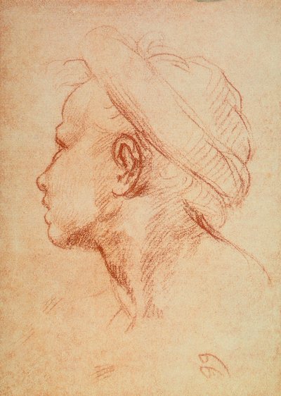 Unge hovedet i profil af Andrea del Sarto