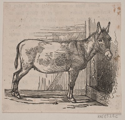 Æsel af Andreas Flinch