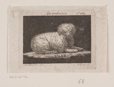 Giordano, en liggende hund af Andreas Flint