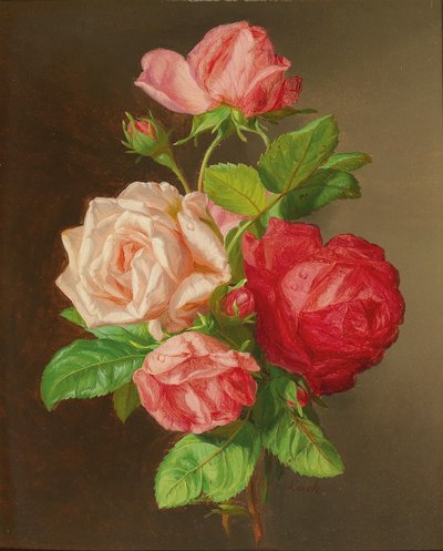 Roser af Andreas Lach