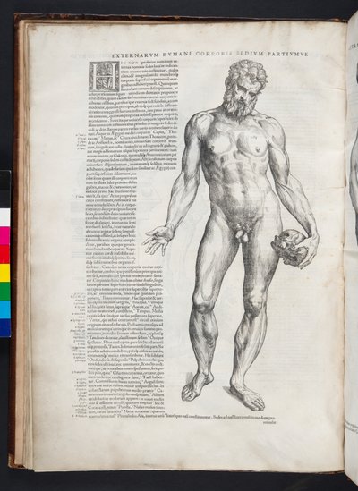 Hercules, illustration fra 