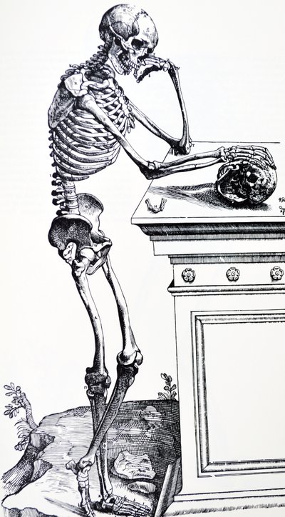Menneskeligt skelet med kranium i hånden. Fra "De Humani Corporis Fabrica" ​​af Vesalius. Mulig træskærer: Jan von Calcar af Andreas Vesalius