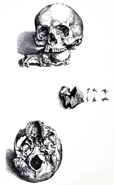 Pladerne fra den første bog i De Humani Corporis Fabrica af Andreas Vesalius