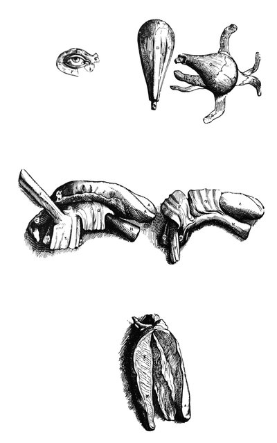 Pladerne fra anden bog af De Humani Corporis Fabrica af Andreas Vesalius