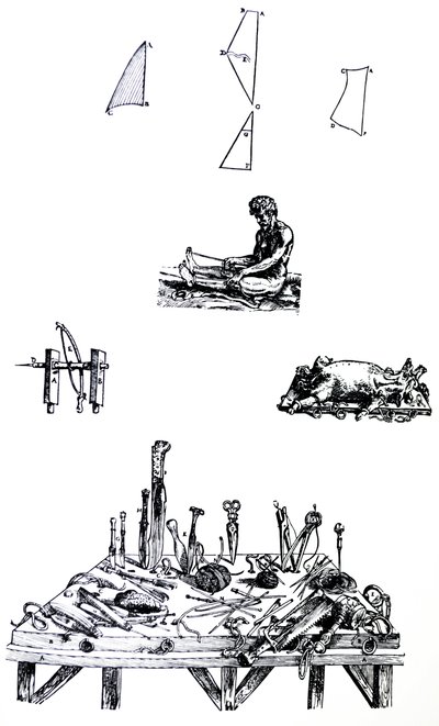 Pladerne fra anden bog af De Humani Corporis Fabrica af Andreas Vesalius