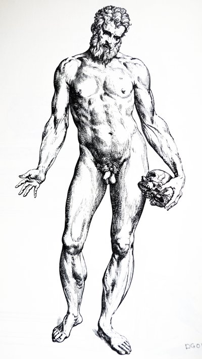 Pladerne fra den syvende bog af De Humani Corporis Fabrica af Andreas Vesalius