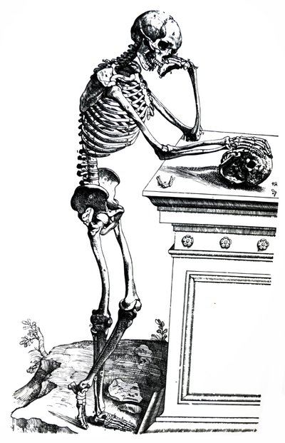 Pladerne fra den syvende bog i De Humani Corporis Fabrica af Andreas Vesalius