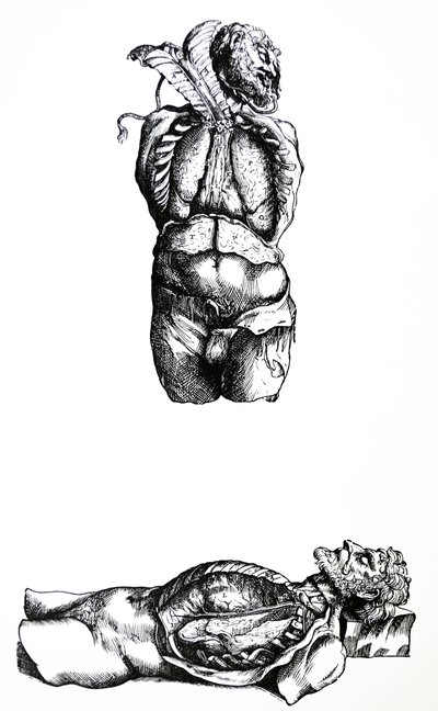 Pladerne fra den sjette bog af De Humani Corporis Fabrica af Andreas Vesalius