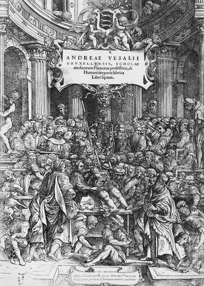 Titelblad på De humani corporis fabrica (latin for På stof af menneskekroppen), hvor Andreas Vesalius er afbildet i at dissekere kadaver af Andreas Vesalius