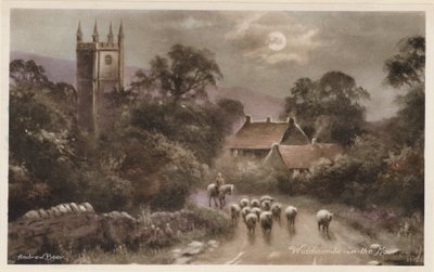 Dartmoor: Widdicombe-in-the Moor (farvefoto) af Andrew Beer