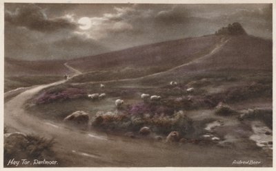 Hay Tor, Dartmoor (farvefoto) af Andrew Beer