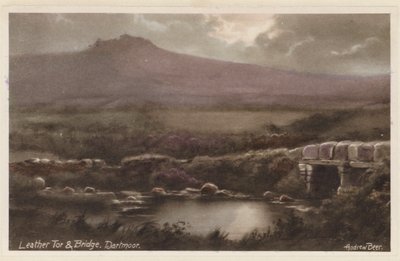 Leather Tor og broen, Dartmoor (farvefoto) af Andrew Beer