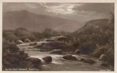 På East Okement, Dartmoor (farvefoto) af Andrew Beer