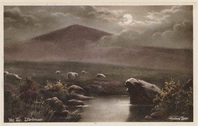 Yes Tor, Dartmoor (farvefoto) af Andrew Beer