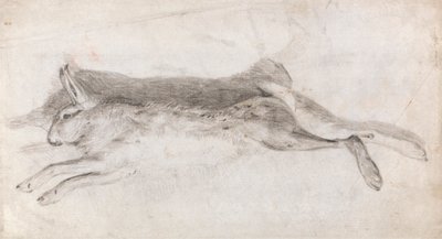 Død hare af Andrew Geddes